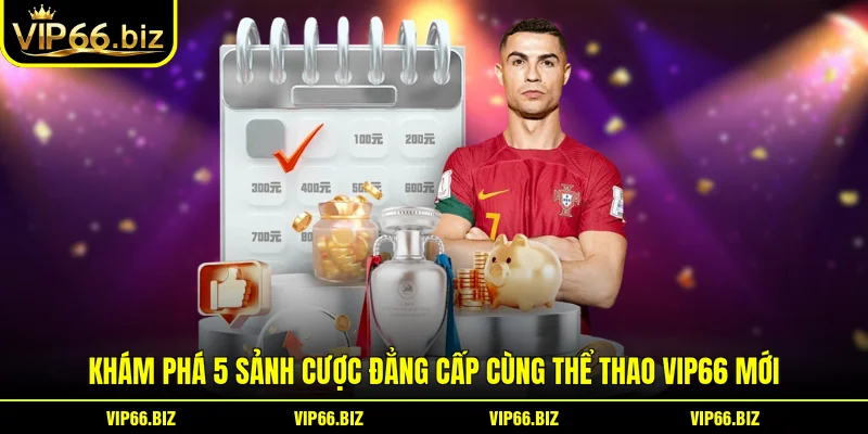 Khám Phá 5 Sảnh Cược Đẳng Cấp Cùng Thể thao VIP66 Mới Khám Phá 5 Sảnh Cược Đẳng Cấp Cùng Thể thao VIP66 Mới