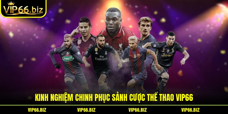 Kinh nghiệm chinh phục sảnh cược thể thao VIP66 Kinh nghiệm chinh phục sảnh cược thể thao VIP66