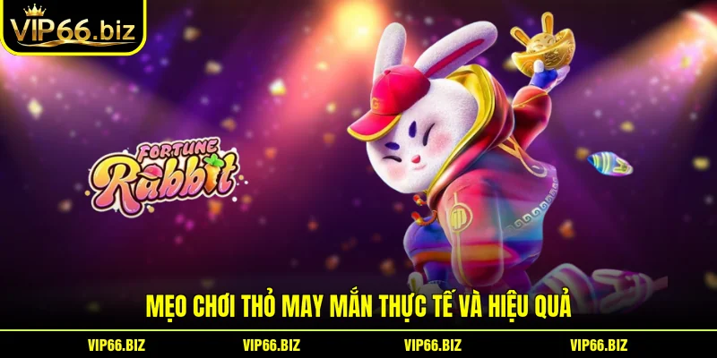 Mẹo chơi Thỏ May Mắn thực tế và hiệu quả Mẹo chơi Thỏ May Mắn thực tế và hiệu quả