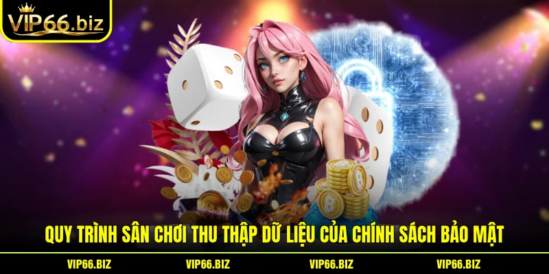 Quy trình sân chơi thu thập dữ liệu của chính sách bảo mật